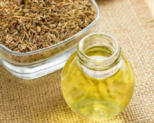 Fennel Seed Oil In Rohtas