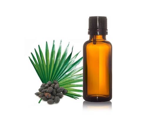 Saw Palmetto Oil In Lower Dibang Valley